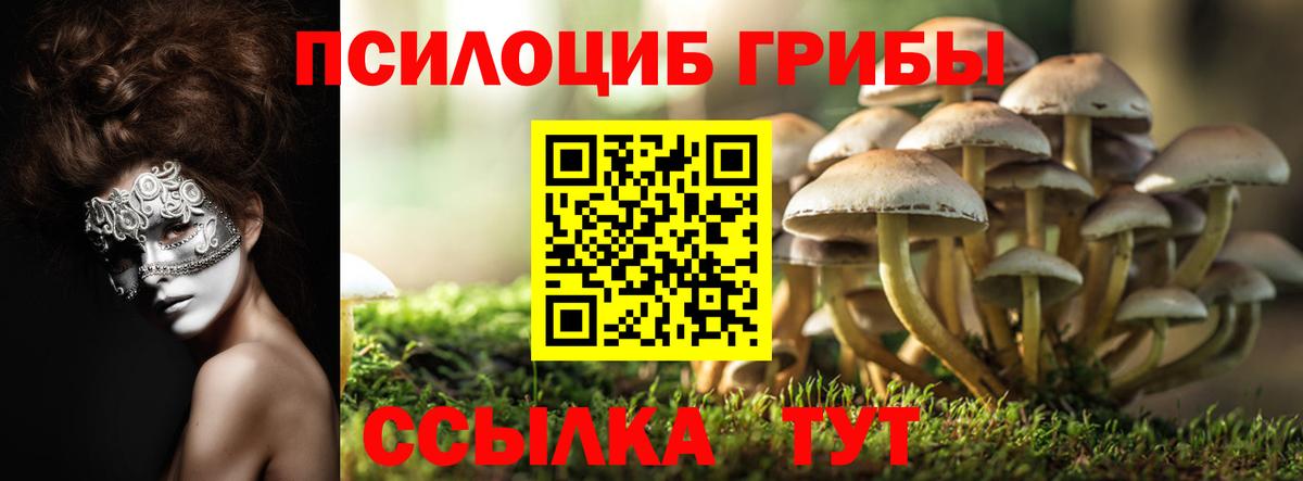 Партизанск  где купить наркоту  Вход с VPN  Галлюциногенные грибы мухоморы 
